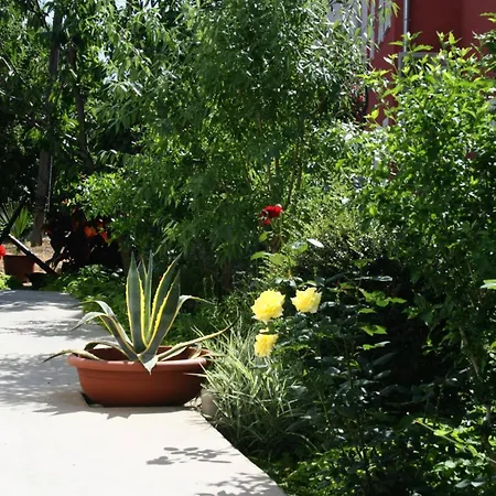 And By The Sea Palit, Rab - 5044 3* Palit